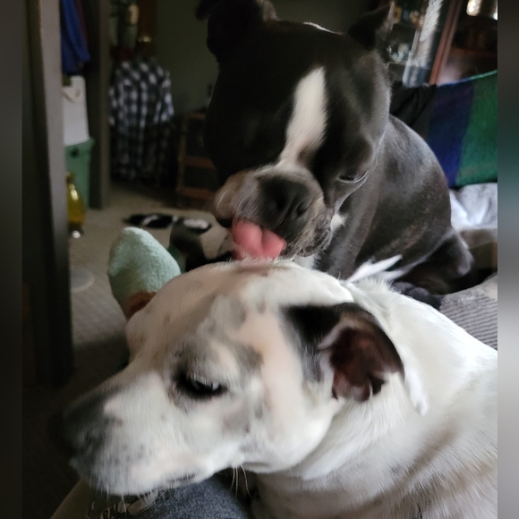 Meet your Posher, Tiff - Picture 6 of 16